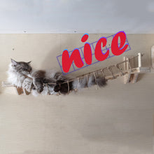 Load image into Gallery viewer, Wall cat furniture pine wall hanging