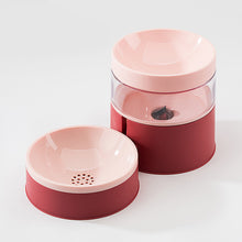 โหลดรูปภาพลงในเครื่องมือใช้ดูของ Gallery Anti-tipping Dog Bowl, Double Bowl.