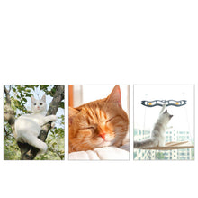 Load image into Gallery viewer, Pet Litter Sucker Hanging Cat Window Hammock