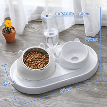 Load image into Gallery viewer, Cat Bowl Dog Bowl Food Bowl
