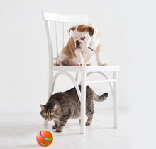 Load image into Gallery viewer, Pet New Cat Wicked Ball Toy Intelligent Ball USB