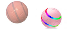 Load image into Gallery viewer, Pet New Cat Wicked Ball Toy Intelligent Ball USB