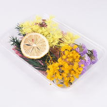 Load image into Gallery viewer, 1 Box Real Dried Flower Dry Plants For Aromatherapy Candle Epoxy Resin Pendant Necklace Jewelry Making Craft DIY Accessories