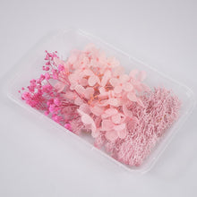 Load image into Gallery viewer, 1 Box Real Dried Flower Dry Plants For Aromatherapy Candle Epoxy Resin Pendant Necklace Jewelry Making Craft DIY Accessories