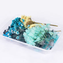 Load image into Gallery viewer, 1 Box Real Dried Flower Dry Plants For Aromatherapy Candle Epoxy Resin Pendant Necklace Jewelry Making Craft DIY Accessories