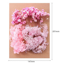 Load image into Gallery viewer, 1 Box Real Dried Flower Dry Plants For Aromatherapy Candle Epoxy Resin Pendant Necklace Jewelry Making Craft DIY Accessories