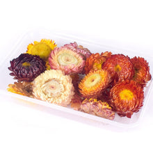 Load image into Gallery viewer, 1 Box Real Dried Flower Dry Plants For Aromatherapy Candle Epoxy Resin Pendant Necklace Jewelry Making Craft DIY Accessories