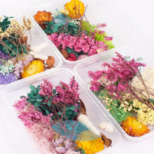 Load image into Gallery viewer, 1 Box Real Dried Flower Dry Plants For Aromatherapy Candle Epoxy Resin Pendant Necklace Jewelry Making Craft DIY Accessories