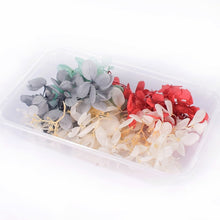 Load image into Gallery viewer, 1 Box Real Dried Flower Dry Plants For Aromatherapy Candle Epoxy Resin Pendant Necklace Jewelry Making Craft DIY Accessories