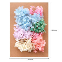 Load image into Gallery viewer, 1 Box Real Dried Flower Dry Plants For Aromatherapy Candle Epoxy Resin Pendant Necklace Jewelry Making Craft DIY Accessories