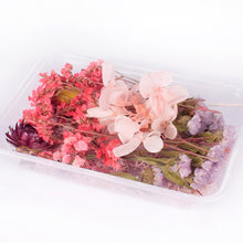 Load image into Gallery viewer, 1 Box Real Dried Flower Dry Plants For Aromatherapy Candle Epoxy Resin Pendant Necklace Jewelry Making Craft DIY Accessories
