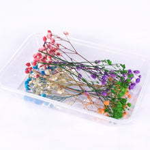Load image into Gallery viewer, 1 Box Real Dried Flower Dry Plants For Aromatherapy Candle Epoxy Resin Pendant Necklace Jewelry Making Craft DIY Accessories