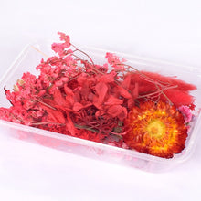 Load image into Gallery viewer, 1 Box Real Dried Flower Dry Plants For Aromatherapy Candle Epoxy Resin Pendant Necklace Jewelry Making Craft DIY Accessories