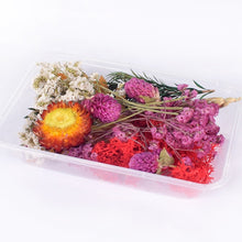 Load image into Gallery viewer, 1 Box Real Dried Flower Dry Plants For Aromatherapy Candle Epoxy Resin Pendant Necklace Jewelry Making Craft DIY Accessories