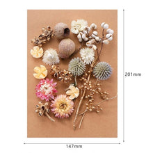 Load image into Gallery viewer, 1 Box Real Dried Flower Dry Plants For Aromatherapy Candle Epoxy Resin Pendant Necklace Jewelry Making Craft DIY Accessories
