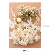 Load image into Gallery viewer, 1 Box Real Dried Flower Dry Plants For Aromatherapy Candle Epoxy Resin Pendant Necklace Jewelry Making Craft DIY Accessories