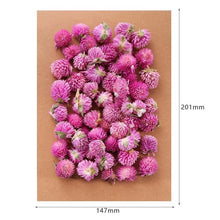 Load image into Gallery viewer, 1 Box Real Dried Flower Dry Plants For Aromatherapy Candle Epoxy Resin Pendant Necklace Jewelry Making Craft DIY Accessories