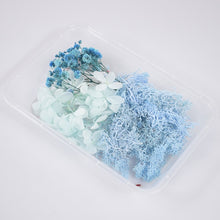 Load image into Gallery viewer, 1 Box Real Dried Flower Dry Plants For Aromatherapy Candle Epoxy Resin Pendant Necklace Jewelry Making Craft DIY Accessories