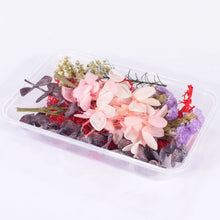 Load image into Gallery viewer, 1 Box Real Dried Flower Dry Plants For Aromatherapy Candle Epoxy Resin Pendant Necklace Jewelry Making Craft DIY Accessories