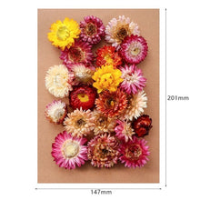 Load image into Gallery viewer, 1 Box Real Dried Flower Dry Plants For Aromatherapy Candle Epoxy Resin Pendant Necklace Jewelry Making Craft DIY Accessories