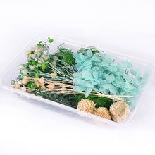 Load image into Gallery viewer, 1 Box Real Dried Flower Dry Plants For Aromatherapy Candle Epoxy Resin Pendant Necklace Jewelry Making Craft DIY Accessories