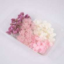 Load image into Gallery viewer, 1 Box Real Dried Flower Dry Plants For Aromatherapy Candle Epoxy Resin Pendant Necklace Jewelry Making Craft DIY Accessories