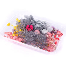 Load image into Gallery viewer, 1 Box Real Dried Flower Dry Plants For Aromatherapy Candle Epoxy Resin Pendant Necklace Jewelry Making Craft DIY Accessories