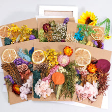 Load image into Gallery viewer, 1 Box Real Dried Flower Dry Plants For Aromatherapy Candle Epoxy Resin Pendant Necklace Jewelry Making Craft DIY Accessories