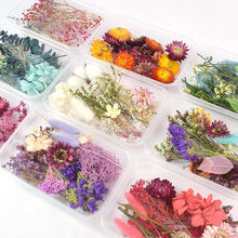 Load image into Gallery viewer, 1 Box Real Dried Flower Dry Plants For Aromatherapy Candle Epoxy Resin Pendant Necklace Jewelry Making Craft DIY Accessories