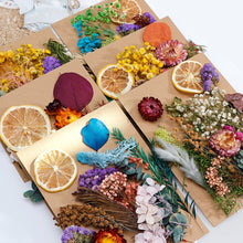 Load image into Gallery viewer, 1 Box Real Dried Flower Dry Plants For Aromatherapy Candle Epoxy Resin Pendant Necklace Jewelry Making Craft DIY Accessories
