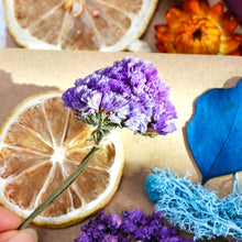 Load image into Gallery viewer, 1 Box Real Dried Flower Dry Plants For Aromatherapy Candle Epoxy Resin Pendant Necklace Jewelry Making Craft DIY Accessories