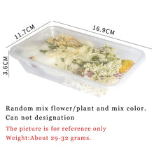 Load image into Gallery viewer, 1 Box Real Dried Flower Dry Plants For Aromatherapy Candle Epoxy Resin Pendant Necklace Jewelry Making Craft DIY Accessories