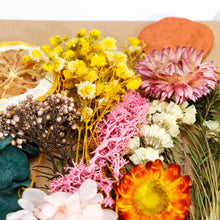 Load image into Gallery viewer, 1 Box Real Dried Flower Dry Plants For Aromatherapy Candle Epoxy Resin Pendant Necklace Jewelry Making Craft DIY Accessories