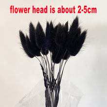 Load image into Gallery viewer, 15Pcs Dried Small Pampas Grass Flowers Pantas Artificiales Para Decoracion Real Plants Home Decor Wedding Decoration
