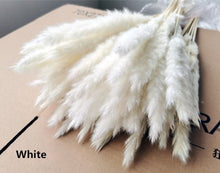 Load image into Gallery viewer, 15Pcs Dried Small Pampas Grass Flowers Pantas Artificiales Para Decoracion Real Plants Home Decor Wedding Decoration