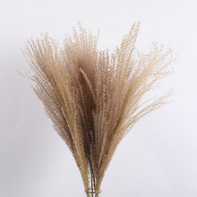 Load image into Gallery viewer, 15Pcs Dried Small Pampas Grass Flowers Pantas Artificiales Para Decoracion Real Plants Home Decor Wedding Decoration