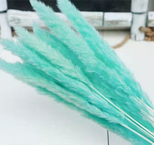 Load image into Gallery viewer, 15Pcs Dried Small Pampas Grass Flowers Pantas Artificiales Para Decoracion Real Plants Home Decor Wedding Decoration
