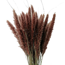 Load image into Gallery viewer, 15Pcs Dried Small Pampas Grass Flowers Pantas Artificiales Para Decoracion Real Plants Home Decor Wedding Decoration