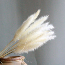 Load image into Gallery viewer, 15Pcs Dried Small Pampas Grass Flowers Pantas Artificiales Para Decoracion Real Plants Home Decor Wedding Decoration
