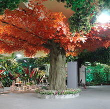 โหลดรูปภาพลงในเครื่องมือใช้ดูของ Gallery Green for Business