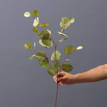 Load image into Gallery viewer, Autumn simulation silk apple leaf eucalypto flower arrangement materials Sen Department green plants Wedding home auditorium