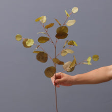 Load image into Gallery viewer, Autumn simulation silk apple leaf eucalypto flower arrangement materials Sen Department green plants Wedding home auditorium