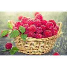 Load image into Gallery viewer, DIY 5D Diamond Painting Fruit Diamond Embroidery Full Round Drill Mosaic Picture Rhinestone Cross Stitch Kitchen Wall Home Decor