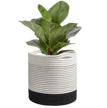 Load image into Gallery viewer, Planter M0004 (Free Shipping)