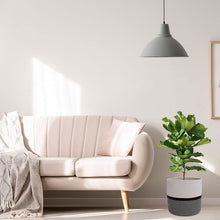 Load image into Gallery viewer, Planter M0005 (Free Shipping)