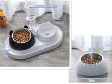 โหลดรูปภาพลงในเครื่องมือใช้ดูของ Gallery Cat Bowl Dog Bowl Food Bowl
