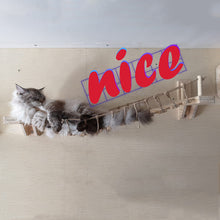 Load image into Gallery viewer, Wall cat furniture pine wall hanging
