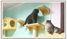 Load image into Gallery viewer, Wall-mounted wooden cat litter
