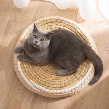Load image into Gallery viewer, Teng Wok Felt House Cat Bed
