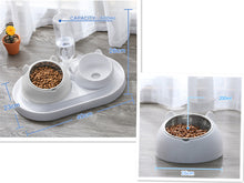 โหลดรูปภาพลงในเครื่องมือใช้ดูของ Gallery Cat Bowl Dog Bowl Food Bowl
